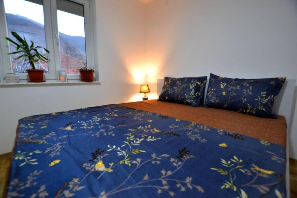 View Apartments Belasica Mokrijevo Eksteriør bilde