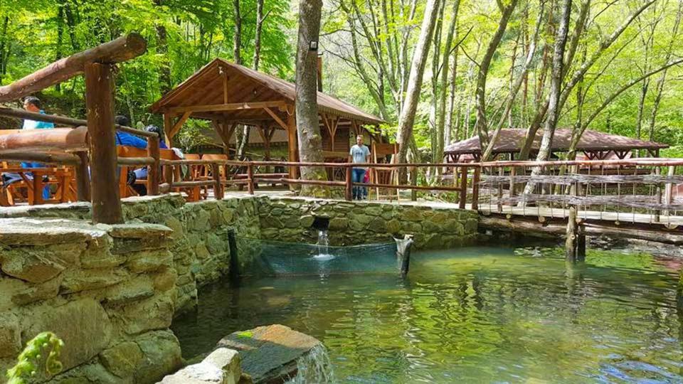 View Apartments Belasica Mokrijevo Eksteriør bilde